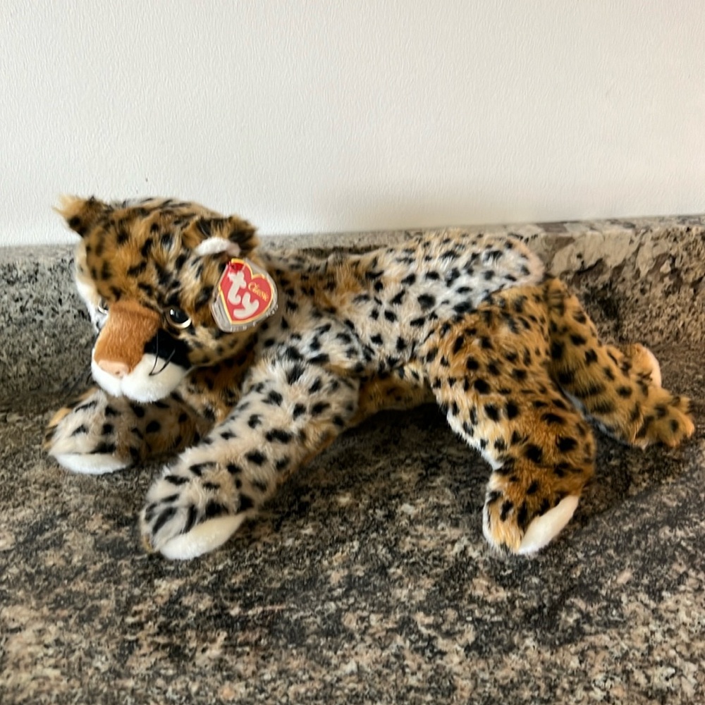 TY “Diesel” the Cheetah